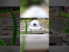 전력을 위한 반대 충격 워크 헤드 안전 헬밋 EN397 6 포인트 정지